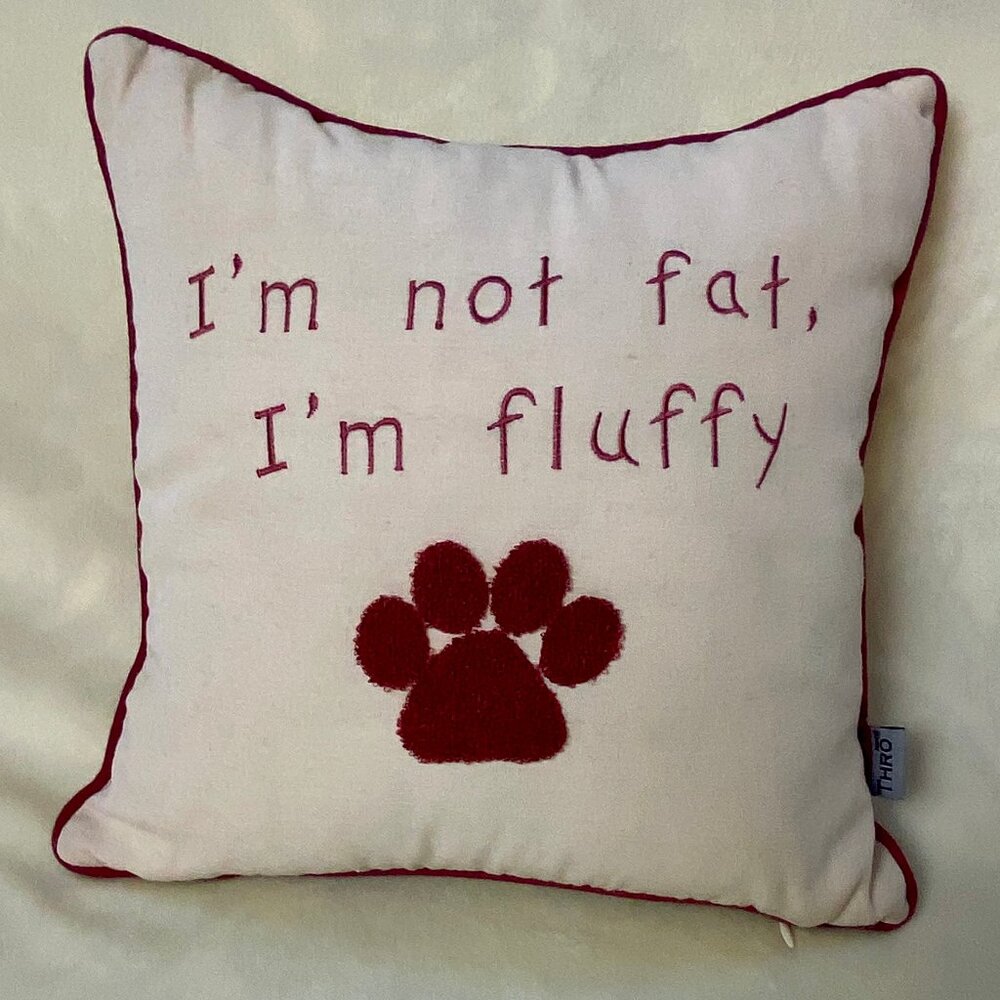 Fun Pet Pillow EUC